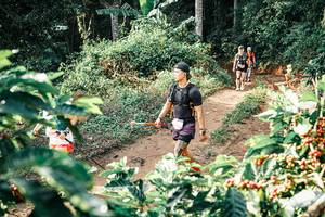 BIB: 
                            <button type="button" onclick="openModal(25851490)" class="btn btn-primary btn-sm float-right btn-popup" data-toggle="modal" data-target=".modal-high-quality">
                        <i class="fas fa-shopping-cart"></i> Add to Cart
                    </button>
                                            <button type="button" onclick="isThisMe(25851490, true)" class="btn btn-success btn-sm float-right btn-popup btn-isme hidden" data-toggle="tooltip" data-placement="bottom" title="นี่คือรูปของคุณใช่ไหม คลิกที่นี่เพื่อเอาเข้าอัลบั้ม">
                        <i class="fas fa-plus"></i> Add to album
                    </button>
                    <button type="button" onclick="isThisMe(25851490, false)" class="btn btn-warning btn-sm float-right btn-popup btn-isnotme hidden">
                        <i class="fas fa-ban"></i> Remove from album
                    </button>